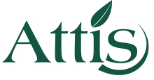 Attis