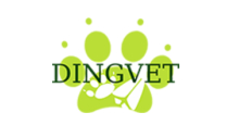 Dingvet