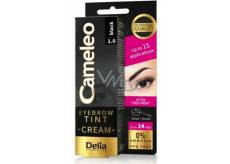 Delia Cosmetics Cameleo Krémová profesionální barva na obočí, bez amoniaku 1.0 Black - Černá 15 ml