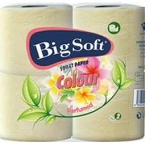 Big Soft Colour parfémovaný toaletní papír světle zelený 2 vrstvý 4 x 200 útržků