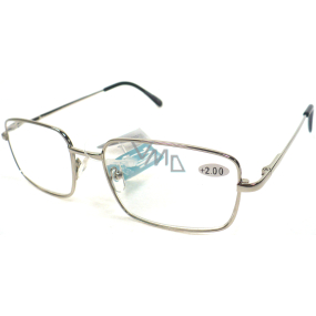 Berkeley Čtecí dioptrické brýle +2,0 stříbrné kov MC2 1 kus ER5050