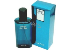 Davidoff Cool Water Men toaletní voda 75 ml