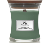 WoodWick Mint Leaves & Oak - Mátové lístky a dub vonná svíčka s dřevěným knotem a víčkem sklo malá 85 g