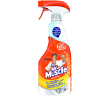 Mr. Muscle Kuchyně Citrus čistící prostředek rozprašovač 500 ml