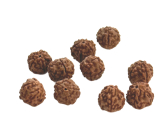 Rudraksha přírodní korálek 10 mm, 10 kusů