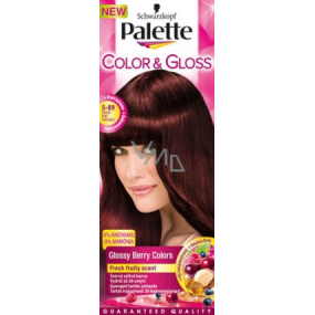 Schwarzkopf Palette Color & Gloss barva na vlasy 5 - 89