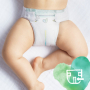 Pampers Pure Protection velikost 3, od 6-10 kg plenkové kalhotky 31 kusů