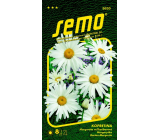 Semo Kopretina bílá Shasta Daisy 0,8 g