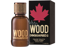 Dsquared2 Wood pour Homme toaletní voda pro muže 50 ml