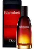 Christian Dior Fahrenheit toaletní voda pro muže 50 ml