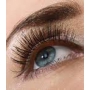 Miss Sporty Lash Millionaire Chic řasenka pro objem černá 8 ml