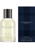 Burberry Burberry Weekend for Men toaletní voda 50 ml