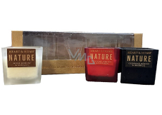 Heart & Home Nature Nové koření a vanilka 135 g + Červené jablko s badyánem 135 g + Cedrové dřevo a skořice 135 g, dárková sada sojových mini svíček