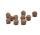 Rudraksha přírodní korálek 7 mm, 10 kusů