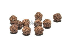 Rudraksha přírodní korálek 7 mm, 10 kusů