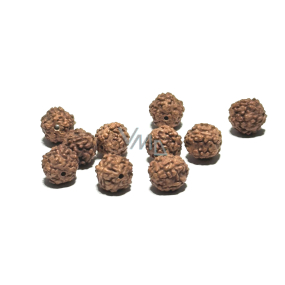 Rudraksha korálekl 7 mm, 10 kusů