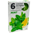 Tea Lights Mint vonné čajové svíčky 6 kusů