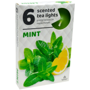 Tea Lights Mint vonné čajové svíčky 6 kusů