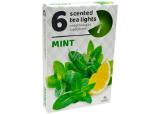 Tea Lights Mint vonné čajové svíčky 6 kusů