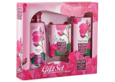 Rose of Bulgaria sprchový gel s růžovou vodou 100 ml + toaletní mýdlo s růží 50 g + pleťový denní krém s růžovou vodou 30 ml, kosmetická sada pro ženy