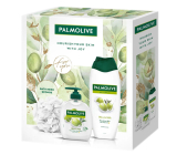 Palmolive Naturals Olive & Milk tekuté mýdlo 300 ml + sprchový gel 500 ml + mycí houba, kosmetická sada