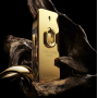 Paco Rabanne Million Gold Intense parfémovaná voda pro muže 100 ml