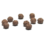 Rudraksha přírodní korálek 9 mm, 10 kusů