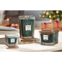 Yankee Candle Frosted Fir - Ojíněná jedle sojová vonná svíčka Elevation malá sklo 1 knot 96 g