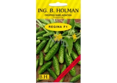 Holman F1 Regina okurky nakladačky 2,5 g