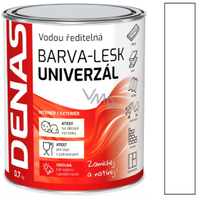 Denas Univerzál barva lesklá 0100 Bílá 0,7 kg