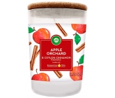 Air Wick Essential Oils Apple Orchard & Ceylon Cinnamon - Jablečný sad a Skořice vonná svíčka sklo 185 g