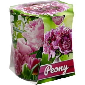 Admit Verona Peony - Pivoňka vonná svíčka ve skle 90 g