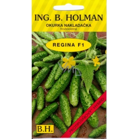 Holman F1 Regina okurky nakládačky seté 1,1 g