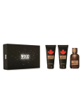 Dsquared2 Wood pour Homme toaletní voda 100 ml + balzám po holení 100 ml + sprchový gel 100 ml, dárková sada pro muže