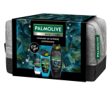 Palmolive Men Refreshing 3v1 sprchový gel 500 ml + Sport 3v1 sprchový gel 250 ml + Arctic antiperspirant deodorant roll-on 50 ml + kosmetická etue, kosmetická sada pro muže