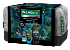 Palmolive Men Refreshing 3v1 sprchový gel 500 ml + Sport 3v1 sprchový gel 250 ml + Arctic antiperspirant deodorant roll-on 50 ml + kosmetická etue, kosmetická sada pro muže