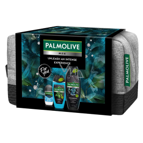 Palmolive Men Refreshing 3v1 sprchový gel 500 ml + Sport 3v1 sprchový gel 250 ml + Arctic antiperspirant deodorant roll-on 50 ml + kosmetická etue, kosmetická sada pro muže