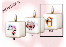 Lima Sovy Moudrá sova s knížkou svíčka s obtiskem bílá krychle 45 x 45 mm 1 kus